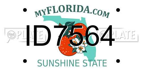 ID7564 Florida License Plate