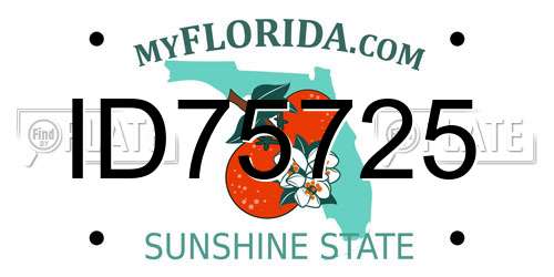 ID75725 Florida License Plate