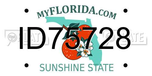 ID75728 Florida License Plate
