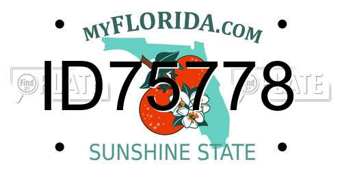 ID75778 Florida License Plate