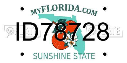 ID78728 Florida License Plate