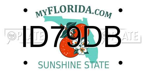 ID79DB Florida License Plate