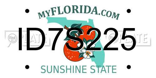 ID7S225 Florida License Plate