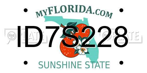 ID7S228 Florida License Plate
