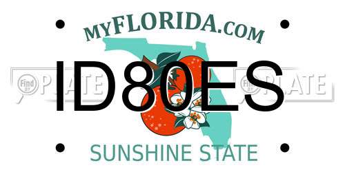 ID80ES Florida License Plate