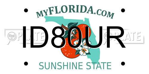 ID80UR Florida License Plate