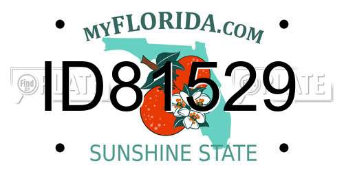 ID81529 Florida License Plate