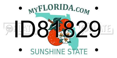 ID81829 Florida License Plate