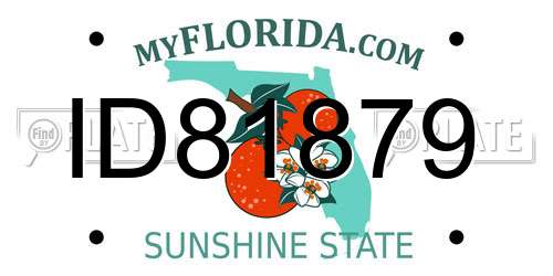 ID81879 Florida License Plate