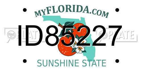 ID85227 Florida License Plate