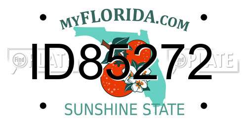 ID85272 Florida License Plate