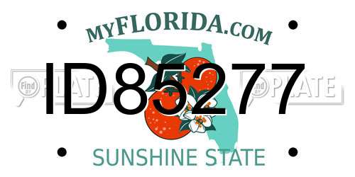 ID85277 Florida License Plate