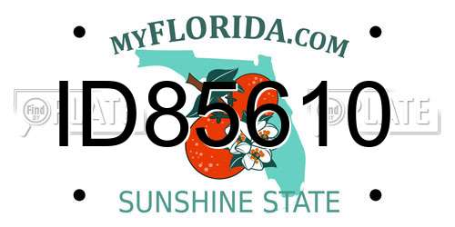 ID85610 Florida License Plate
