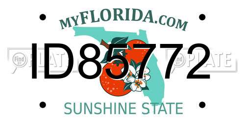 ID85772 Florida License Plate