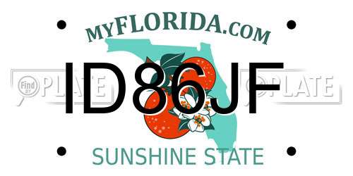 ID86JF Florida License Plate
