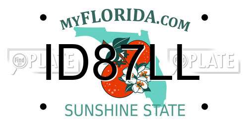 ID87LL Florida License Plate