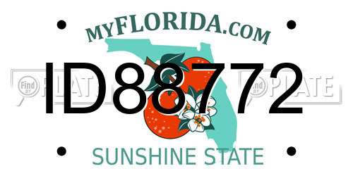 ID88772 Florida License Plate
