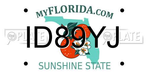 ID89YJ Florida License Plate