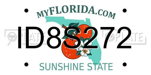 ID8S272 Florida License Plate