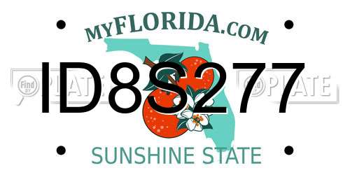 ID8S277 Florida License Plate