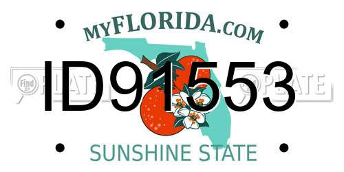 ID91553 Florida License Plate