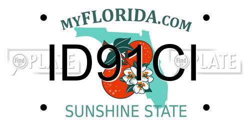 ID91CI Florida License Plate