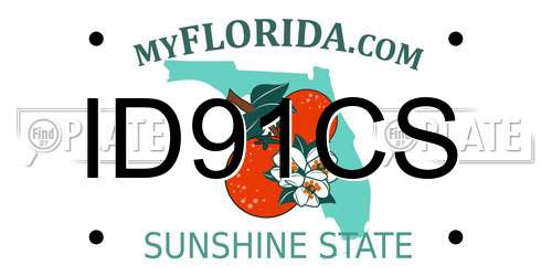 ID91CS Florida License Plate