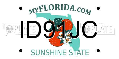 ID91JC Florida License Plate