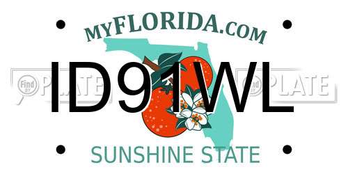 ID91WL Florida License Plate