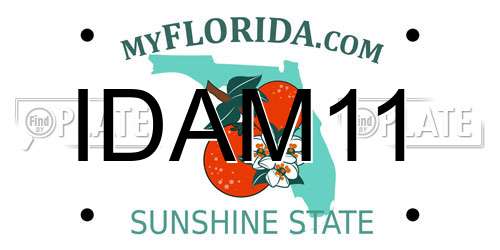IDAM11 Florida License Plate