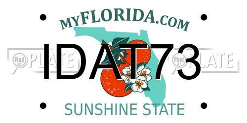 IDAT73 Florida License Plate