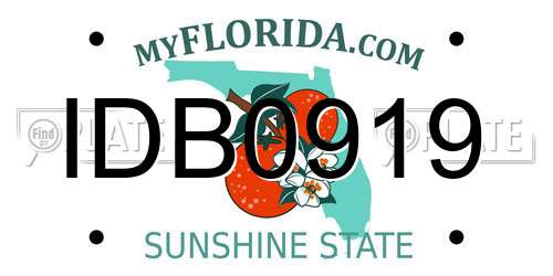 IDB0919 Florida License Plate