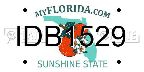 IDB1529 Florida License Plate