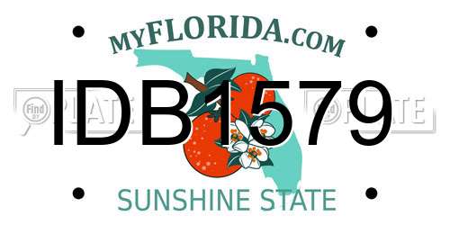 IDB1579 Florida License Plate