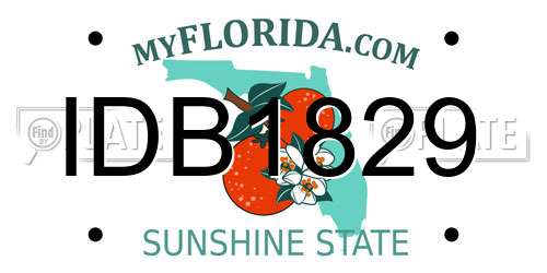 IDB1829 Florida License Plate