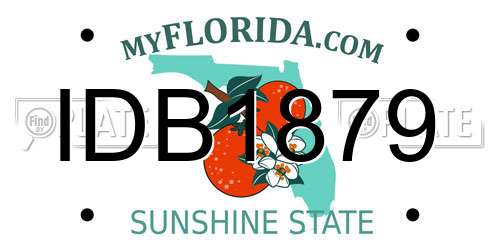 IDB1879 Florida License Plate