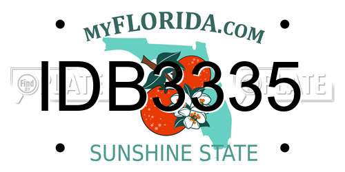 IDB3335 Florida License Plate