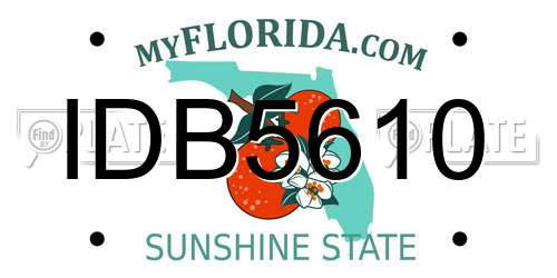 IDB5610 Florida License Plate