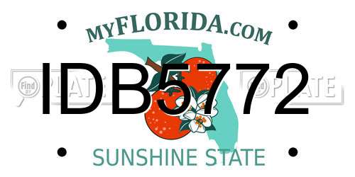 IDB5772 Florida License Plate
