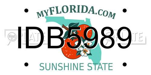 IDB5989 Florida License Plate