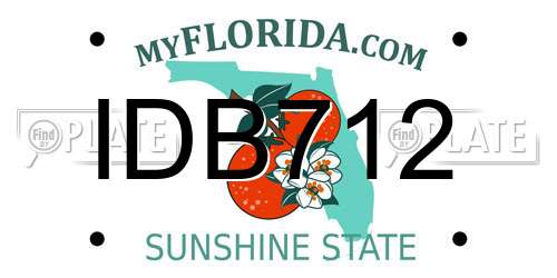IDB712 Florida License Plate