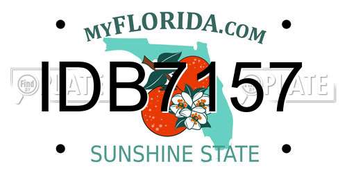 IDB7157 Florida License Plate