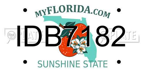 IDB7182 Florida License Plate