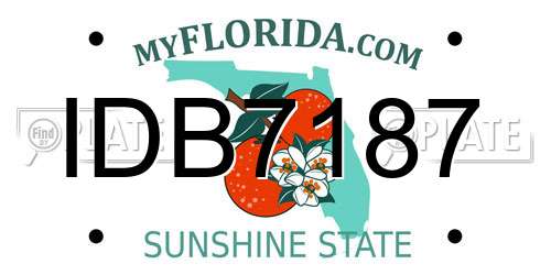 IDB7187 Florida License Plate