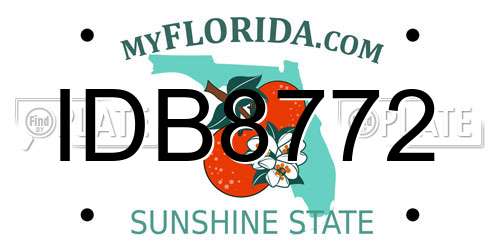 IDB8772 Florida License Plate