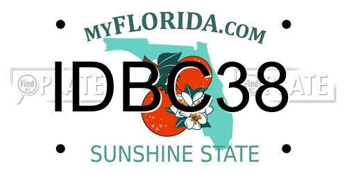 IDBC38 Florida License Plate
