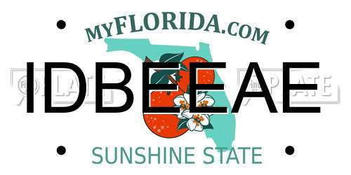 IDBEEAE Florida License Plate