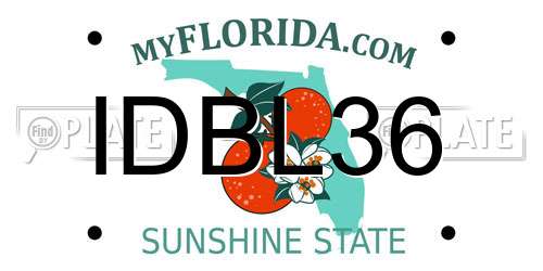 IDBL36 Florida License Plate