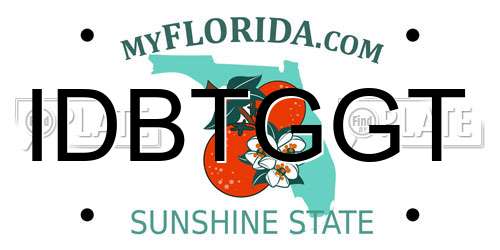 IDBTGGT Florida License Plate
