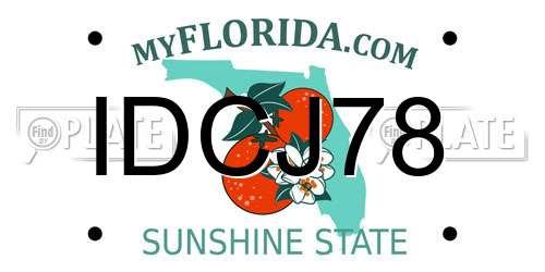IDCJ78 Florida License Plate